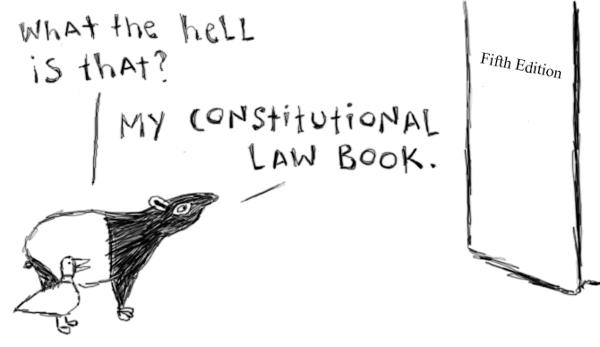 Con_Law_Book.png